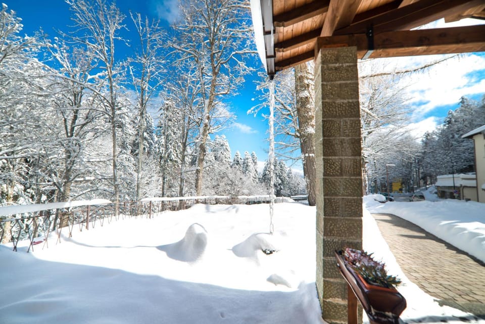 Day, Natural landscape, Winter, Decorative detail
