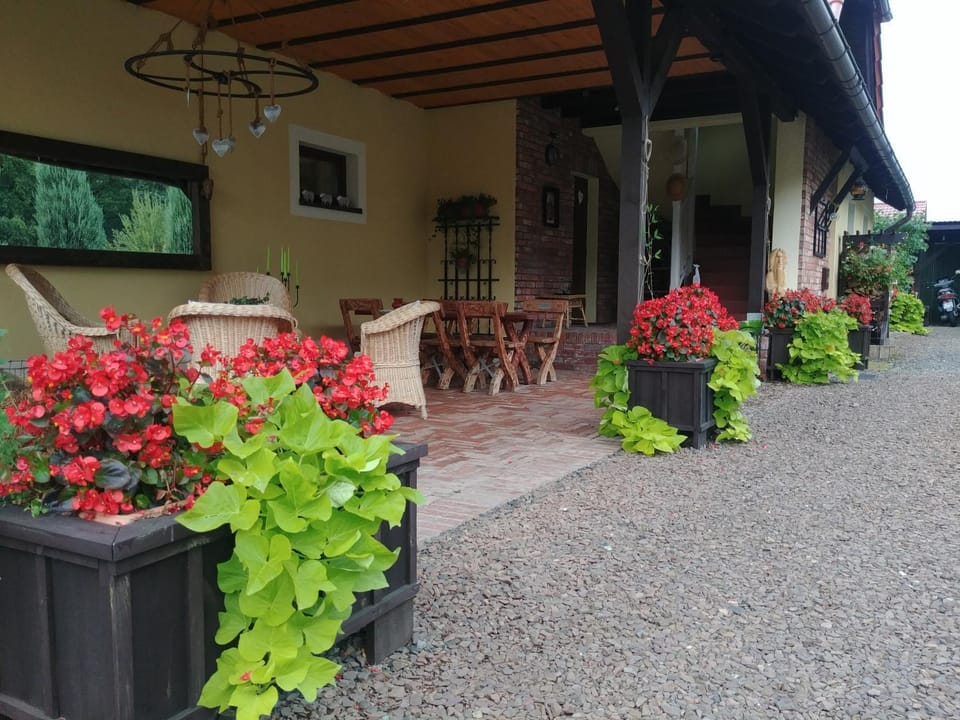 Property building, Patio