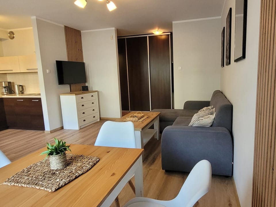 TV and multimedia, Living room, Photo of the whole room, Seating area