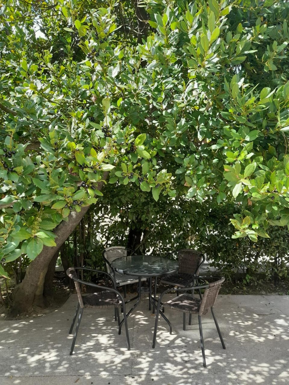 Apartments Niković Apartment in Kotor Municipality