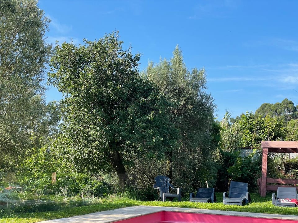 Day, Natural landscape, Garden, Garden view