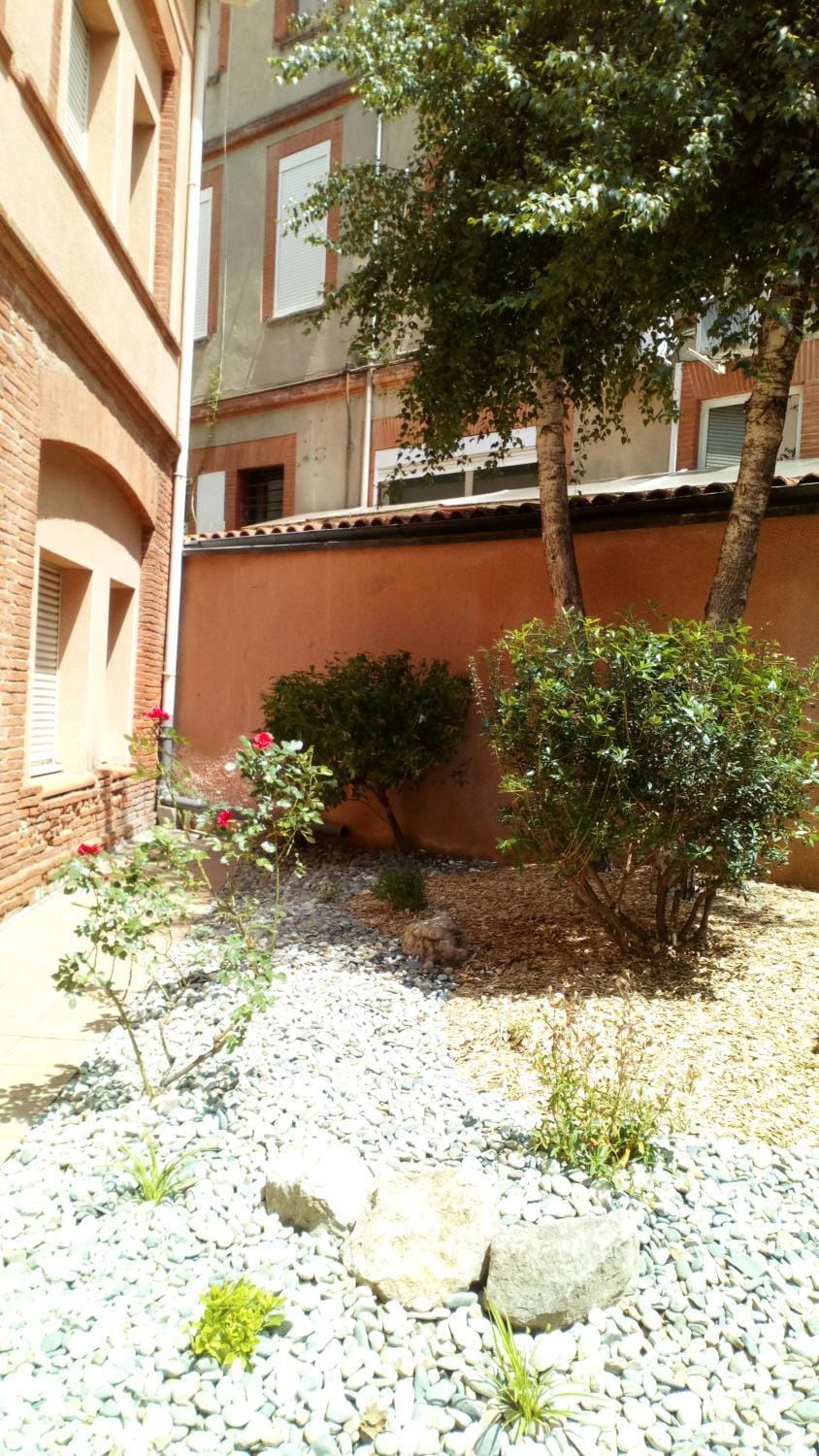 Patio, Garden