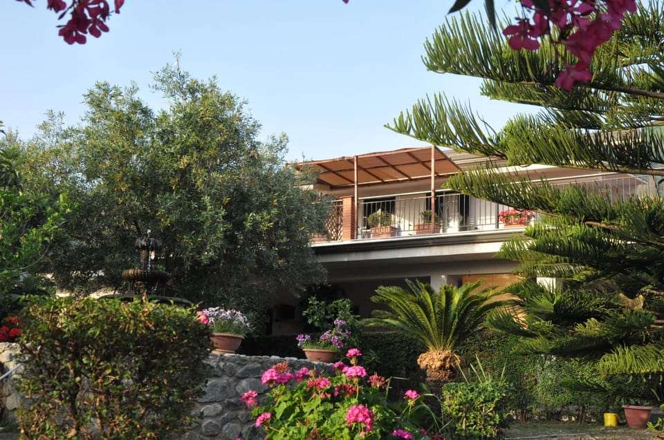 Property building, Garden