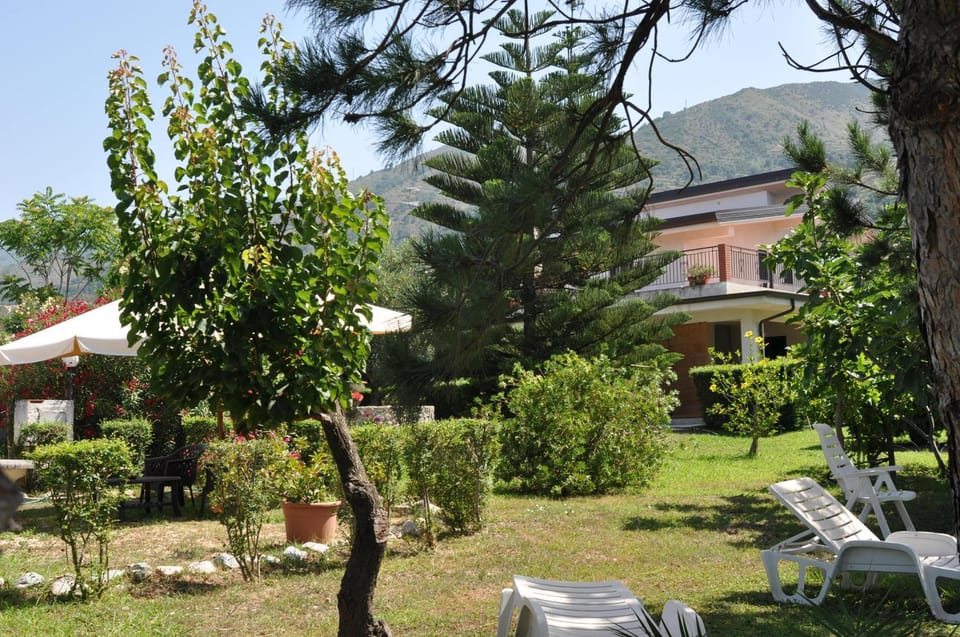 Property building, Garden, Garden view