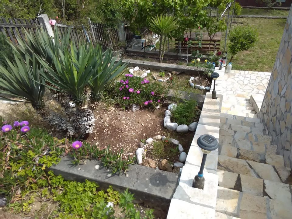 Patio, Decorative detail, Garden view