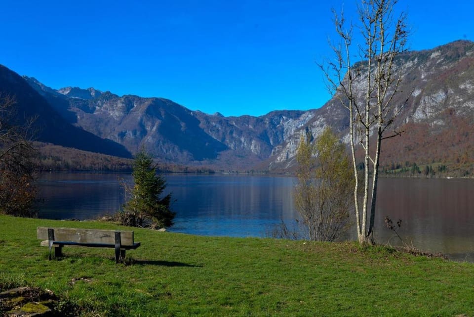 Lake view
