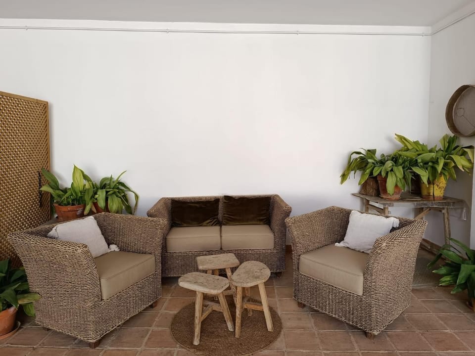 Patio, Patio, Balcony/Terrace