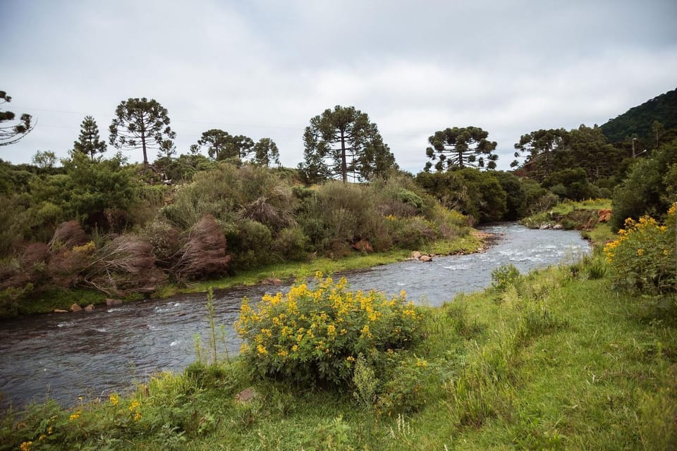 Natural landscape, River view