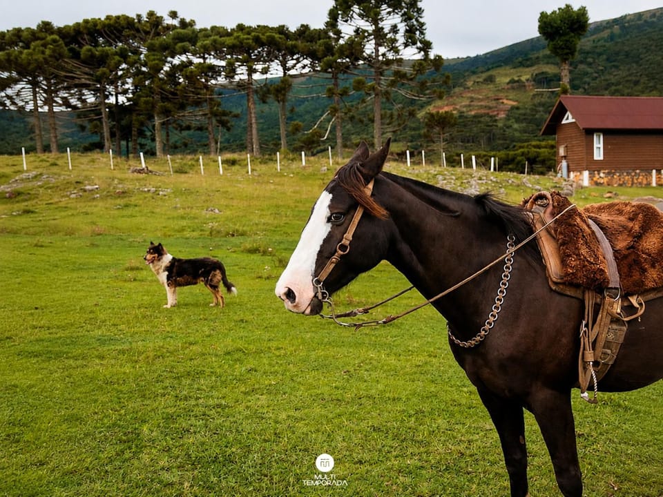 Horse-riding