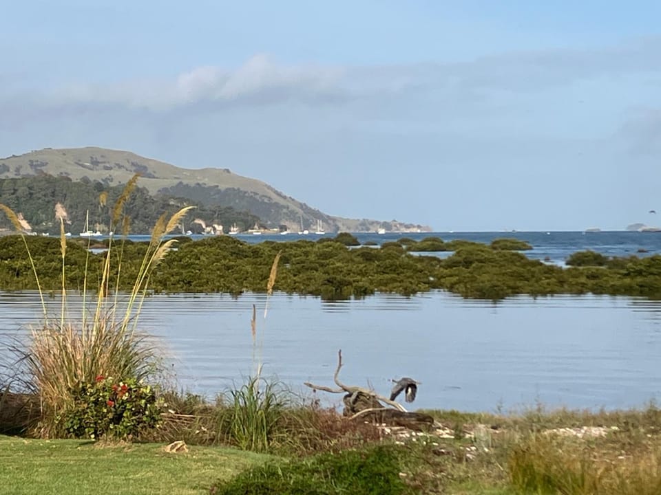 Oystercatcher Bay Boathouse Chalet in Coromandel