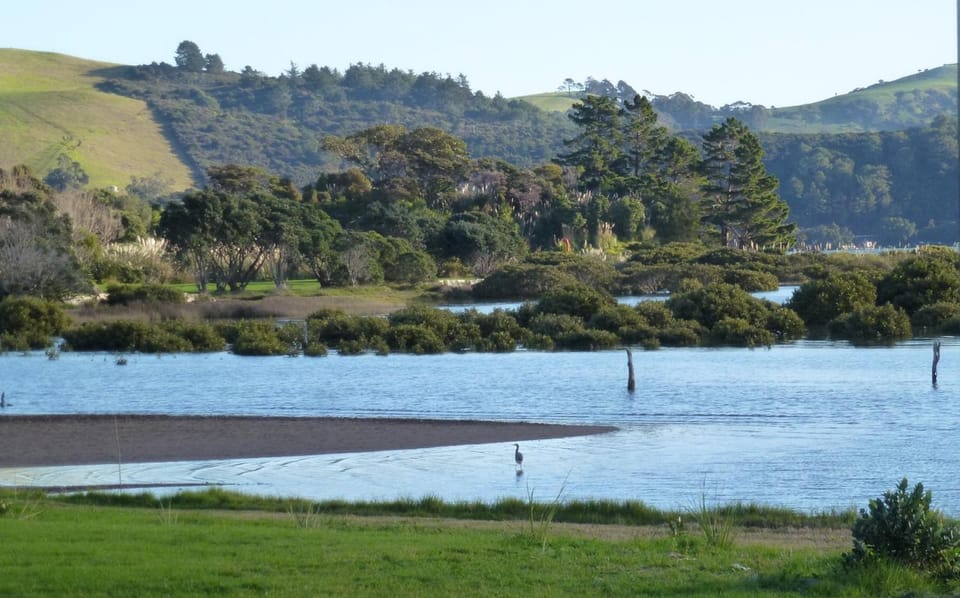 Natural landscape
