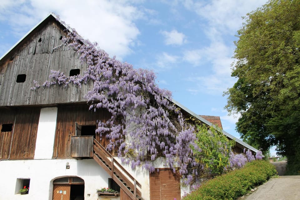 Property building, Spring