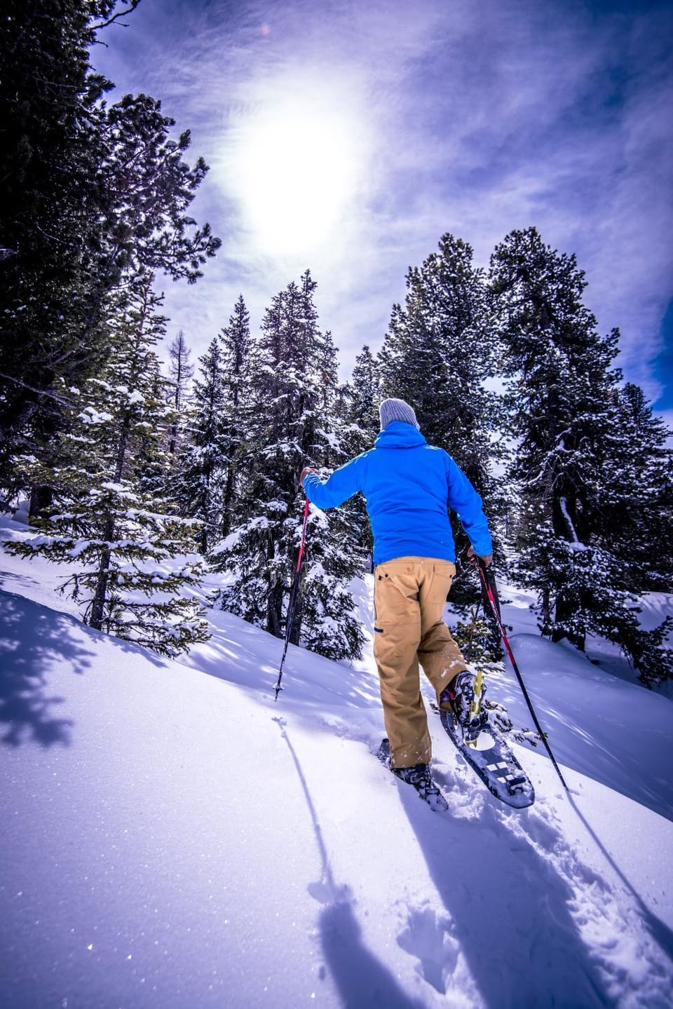 Winter, Skiing