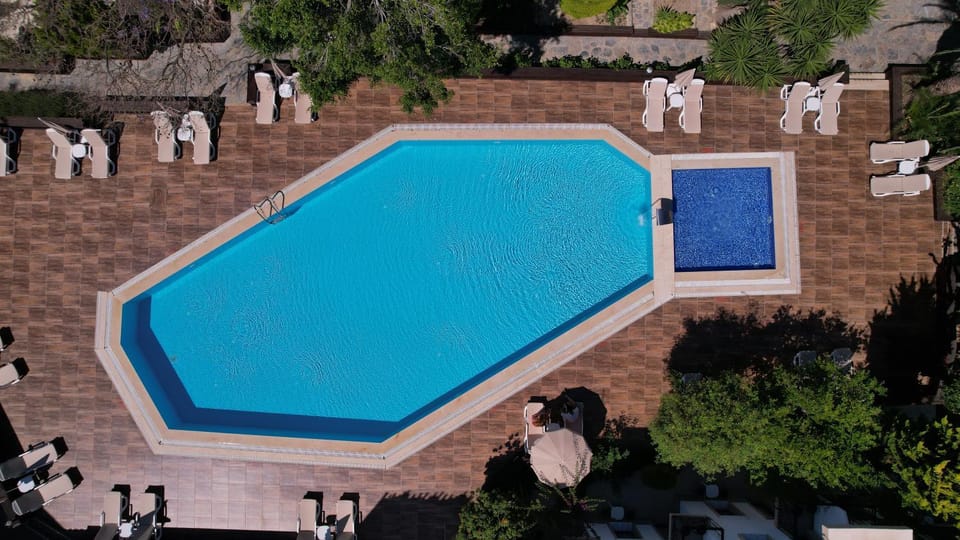 Patio, Day, Garden, Balcony/Terrace, Animals, On site, Pets, Garden view, Pool view, Area and facilities, Swimming pool, young children, older children, Family, internet, pet friendly, sunbed