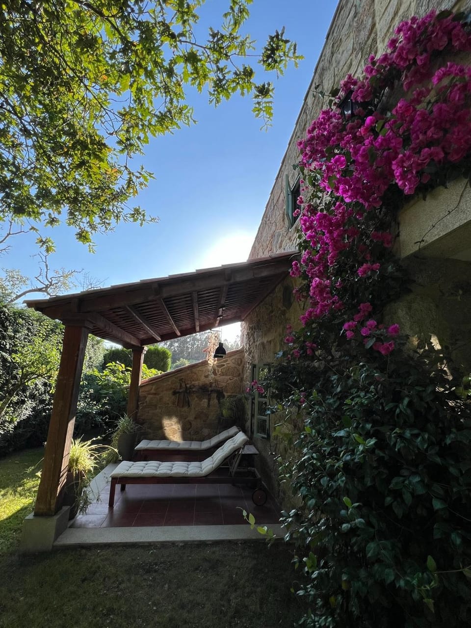 Patio, Garden, sunbed