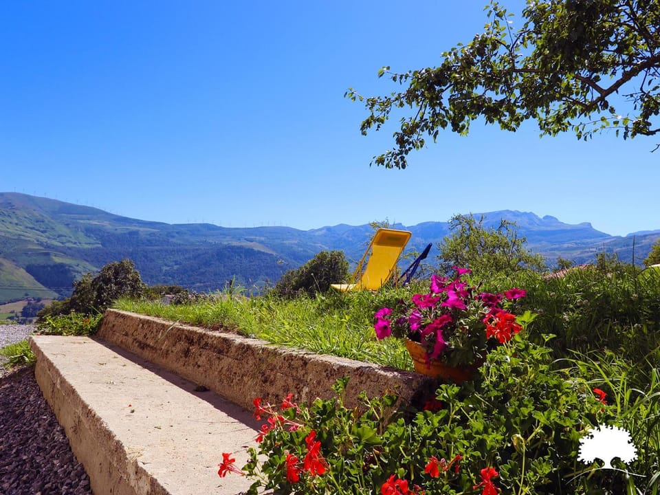 Property building, Natural landscape, Garden, Garden view, Mountain view