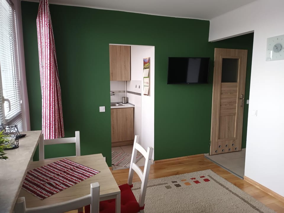 City Studio Apartment in Poland