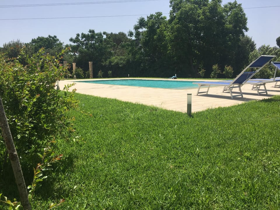 Activities, Garden, Other, Pets, Area and facilities, Swimming pool, Entertainment
