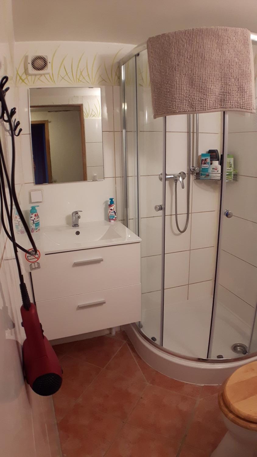 Shower, Toilet, Bathroom