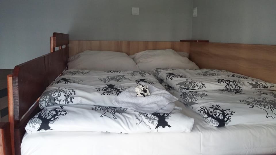 bunk bed