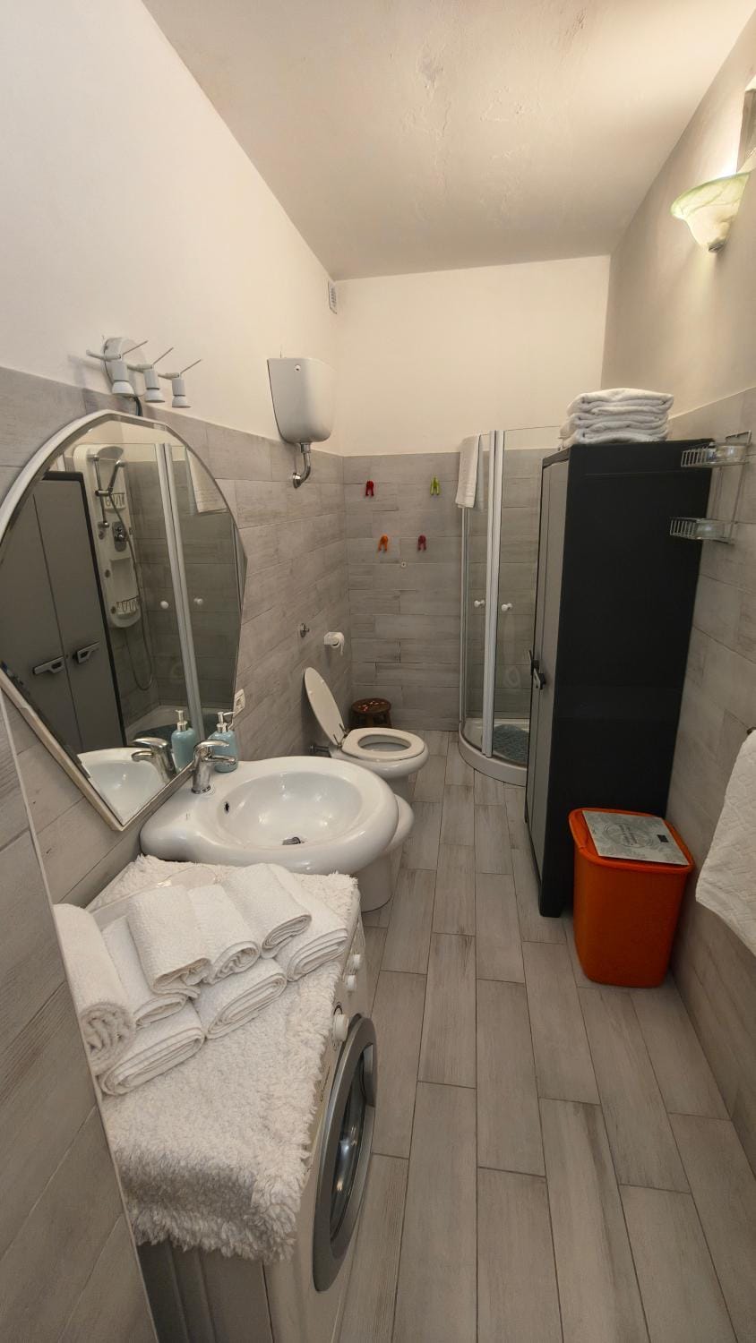 Shower, Toilet, Bathroom, bidet, towels, washing machine