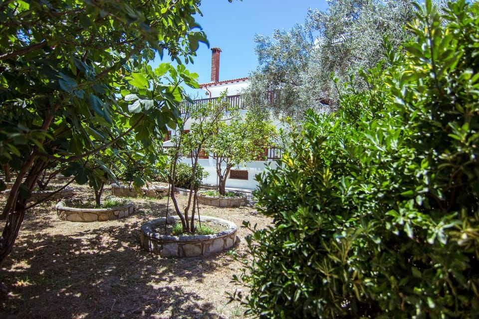 Property building, Summer, Garden, On site, Garden view