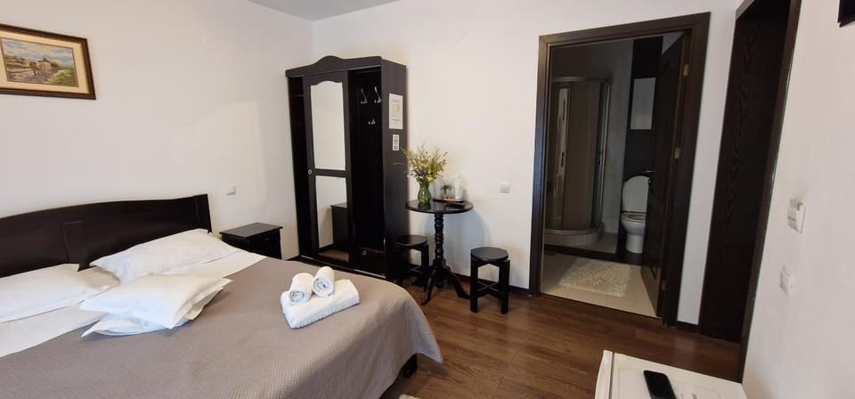 Pensiunea Gold Bed and Breakfast in Romania