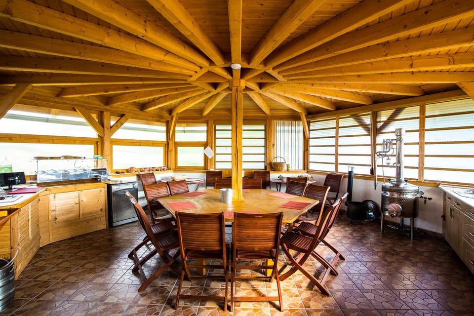 Spring, Summer, Communal kitchen, Continental breakfast