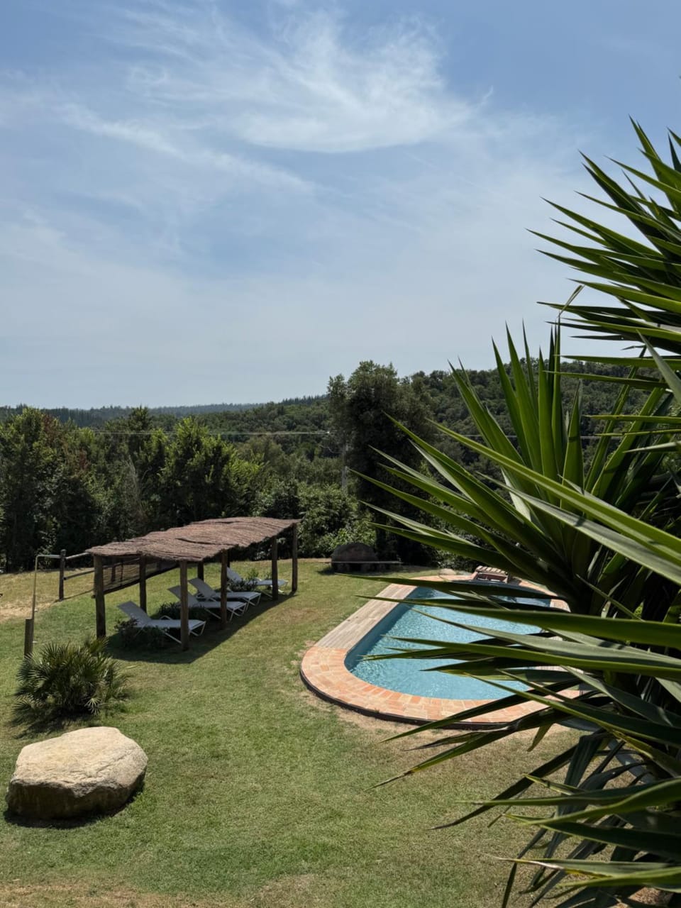 Garden, Swimming pool, Swimming pool