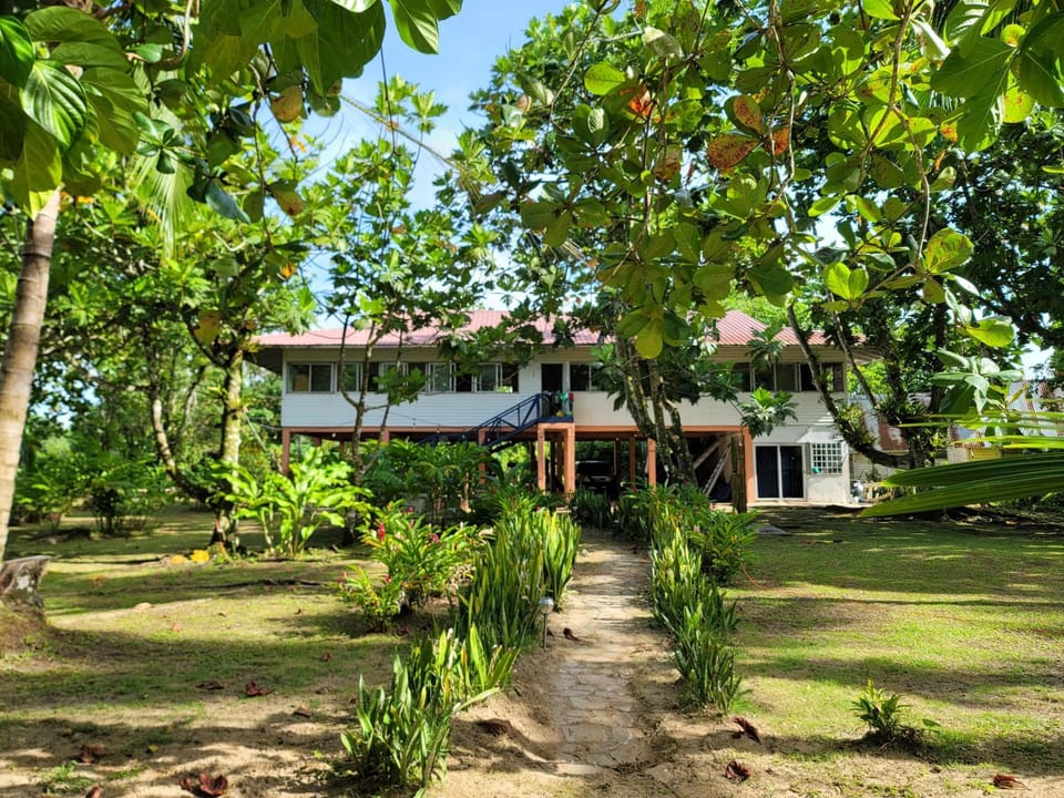 Drago Beach House - Private Beach Hostel in Bocas del Toro Province
