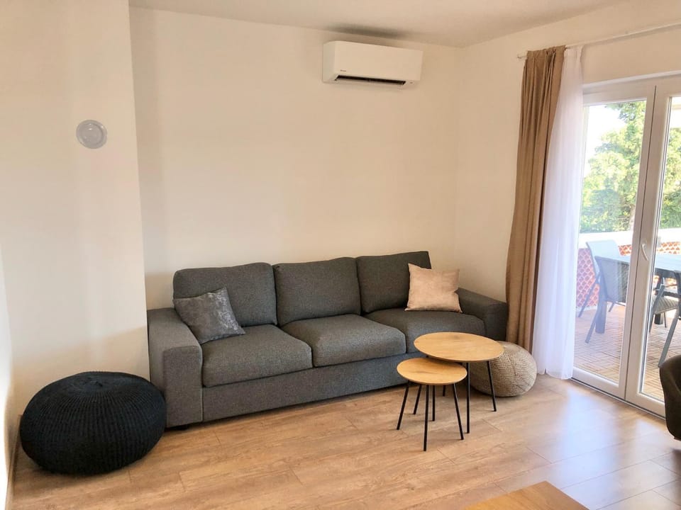 Living room, Seating area, air conditioner