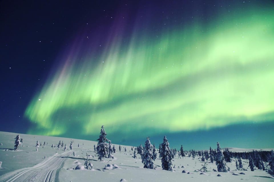 Neighbourhood, Natural landscape, Winter, Skiing