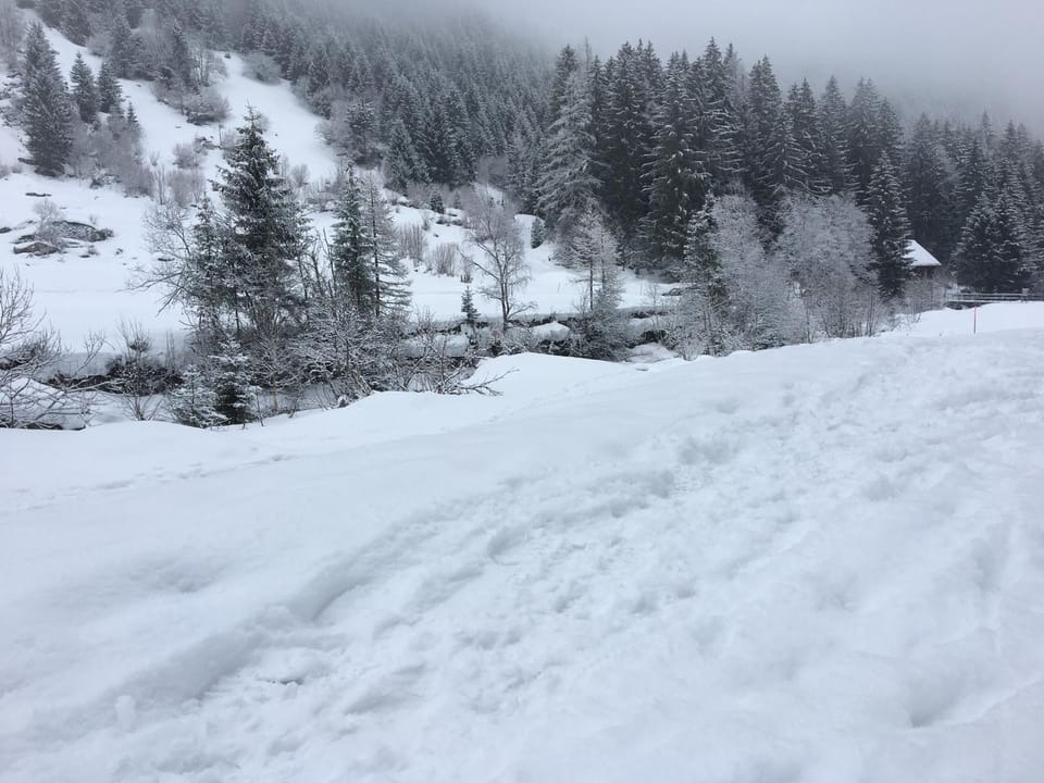 Natural landscape, Winter, Hiking