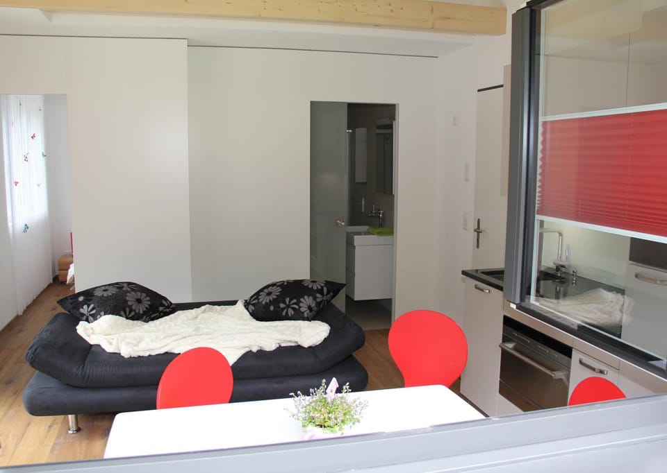 Kitchen or kitchenette, Living room, Dining area, Bedroom