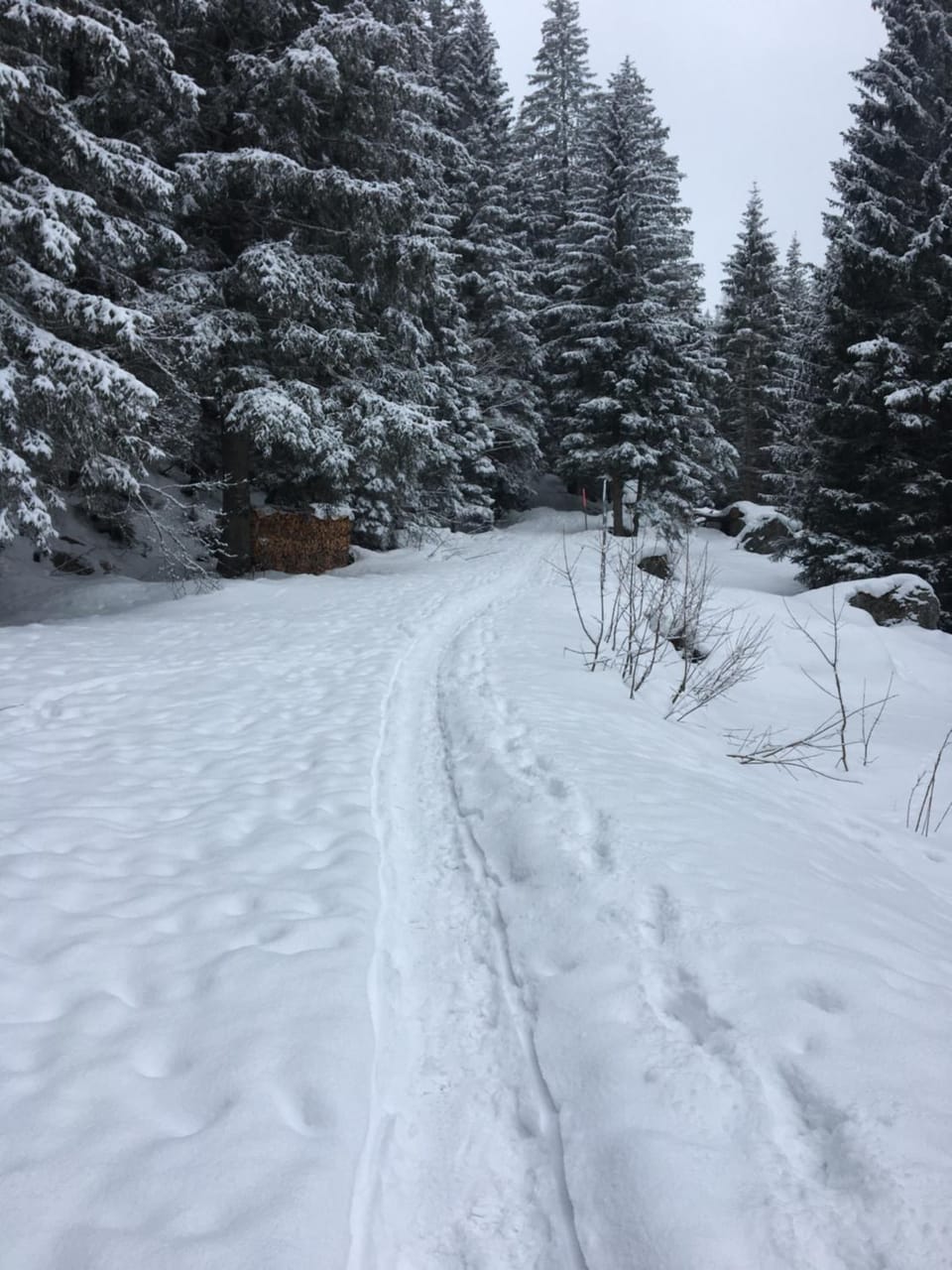 Natural landscape, Winter, Hiking