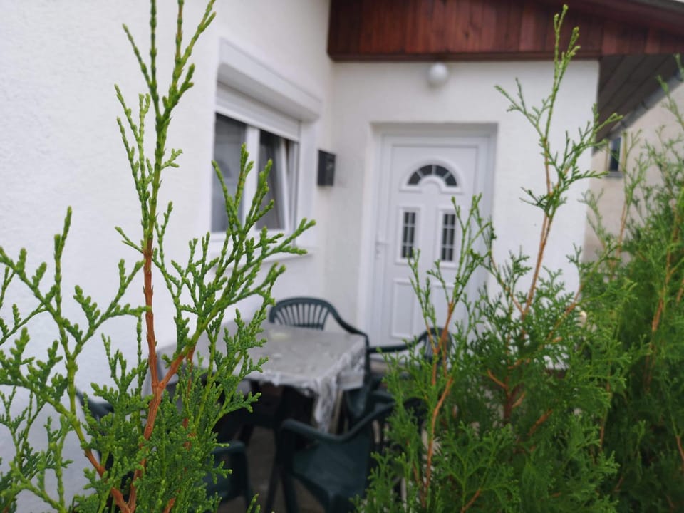 Garden, Balcony/Terrace
