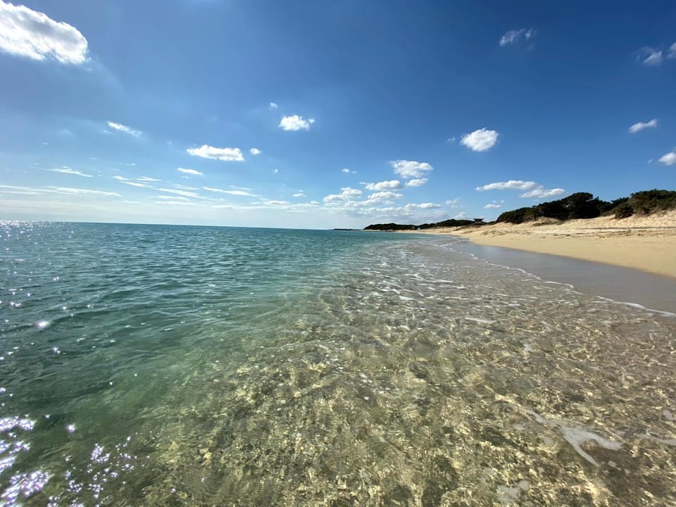Natural landscape, View (from property/room), Beach, On site, Sea view