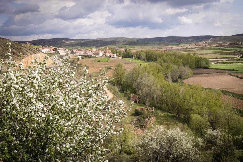 Spring, Off site, Natural landscape, Activities, Hiking