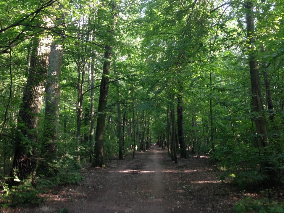 Hiking