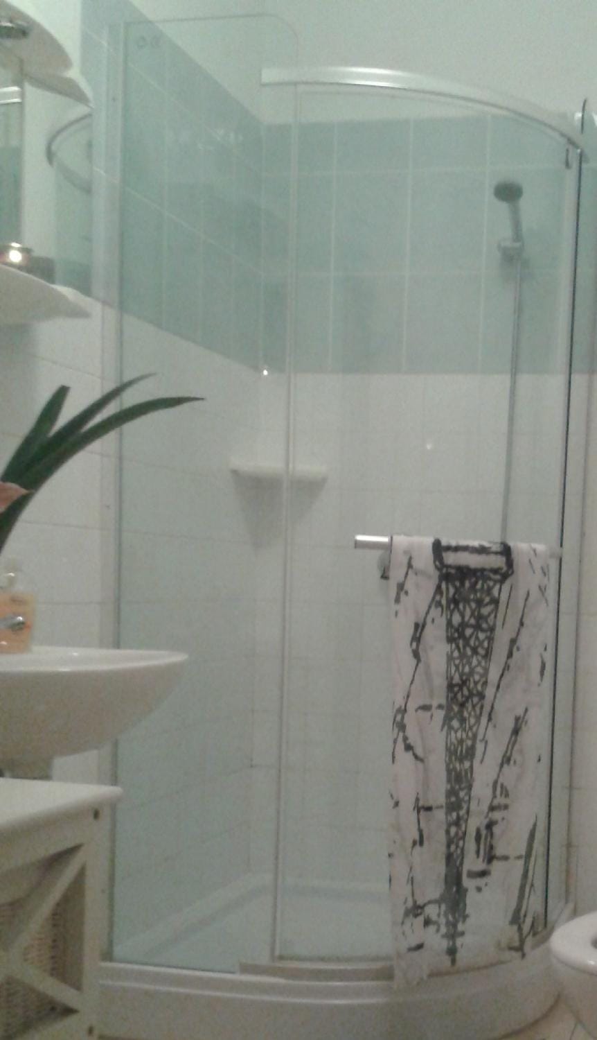 Shower, Bathroom