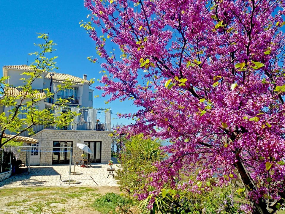 Property building, Spring, Garden