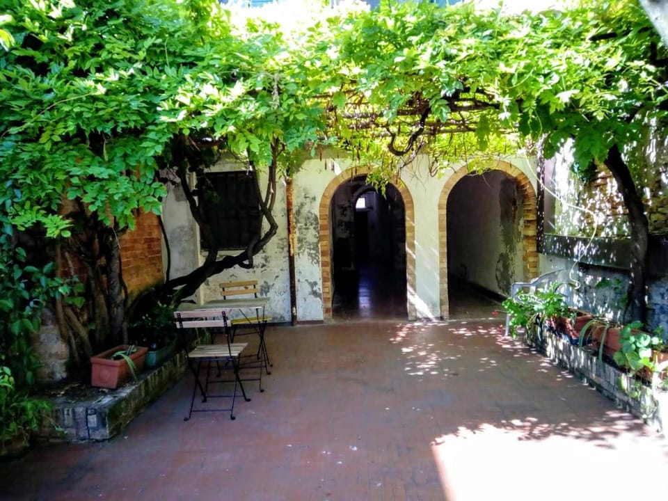 Patio, Garden