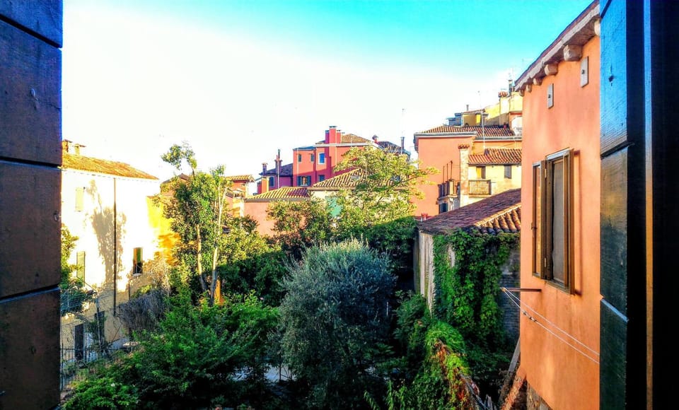 City view, Garden view