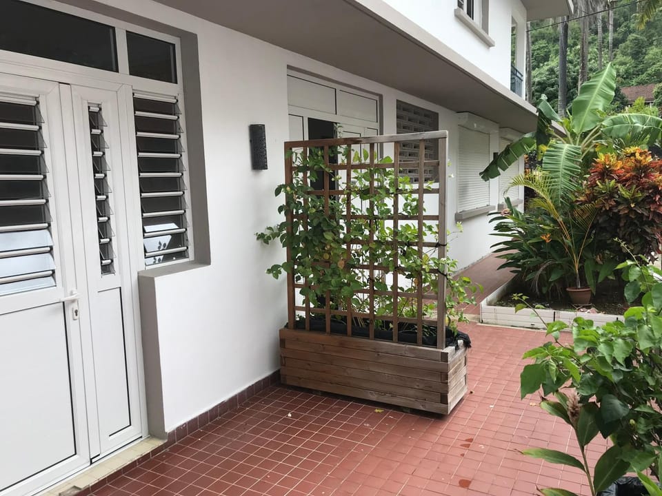 Patio, Facade/entrance
