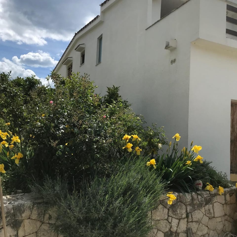 Six bedroom Holiday home Matea House in Dubrovnik-Neretva County