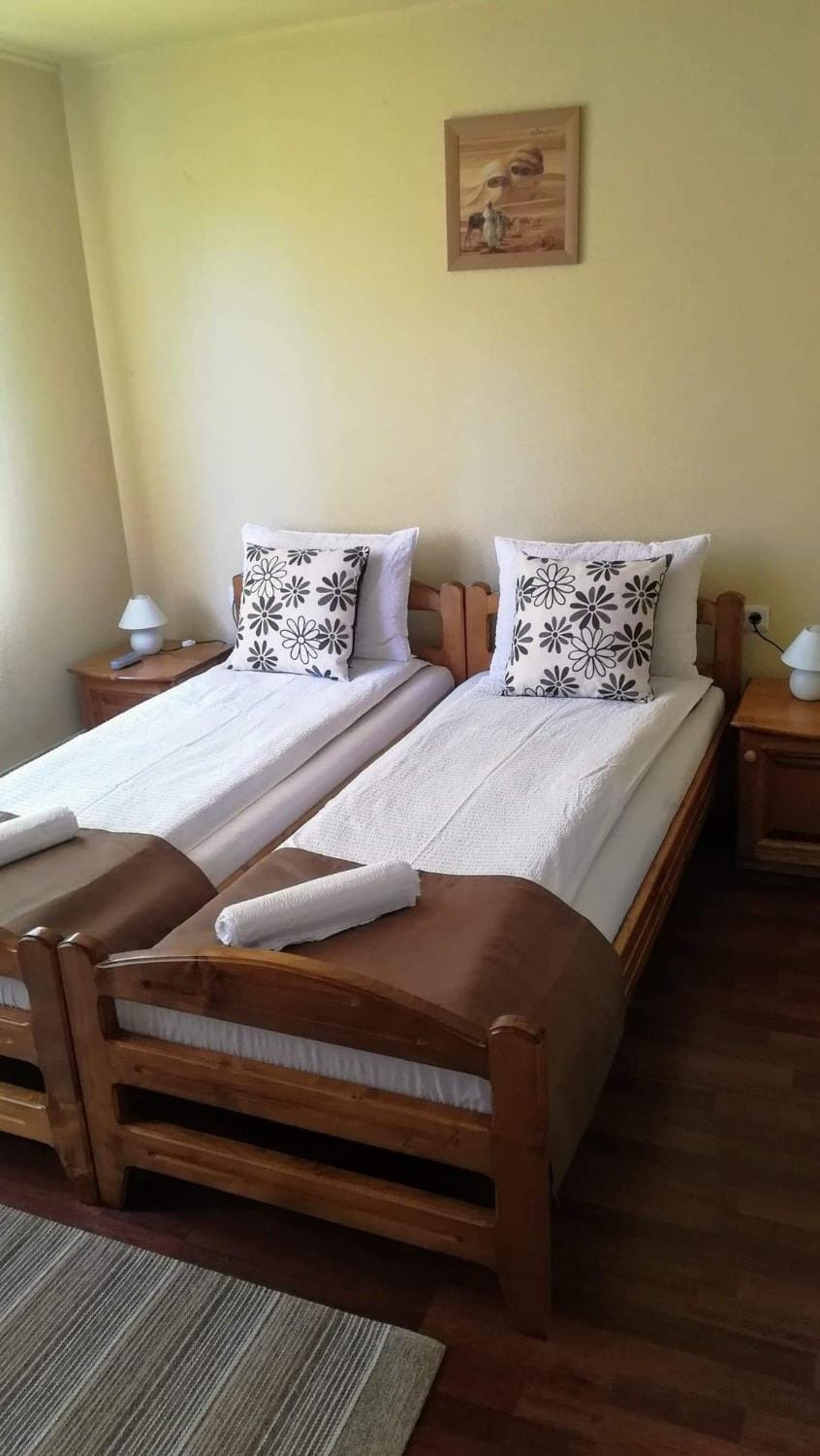 Levi Panzio Bed and Breakfast in Romania