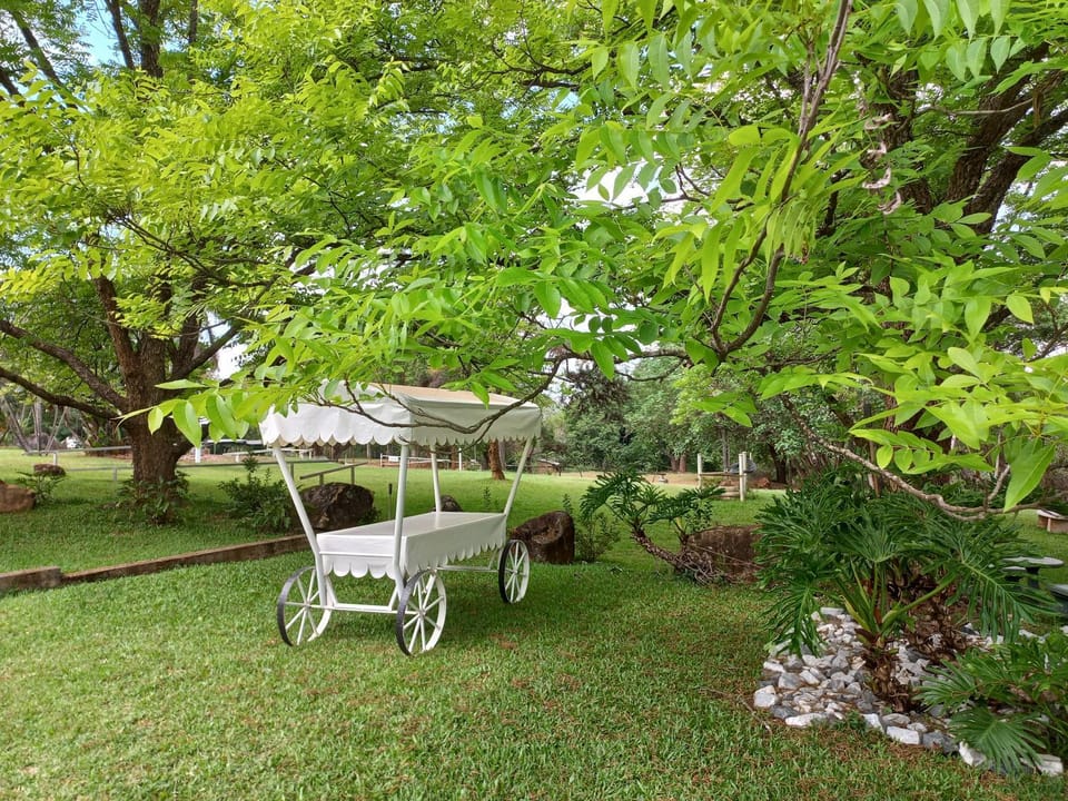 Garden, Garden view