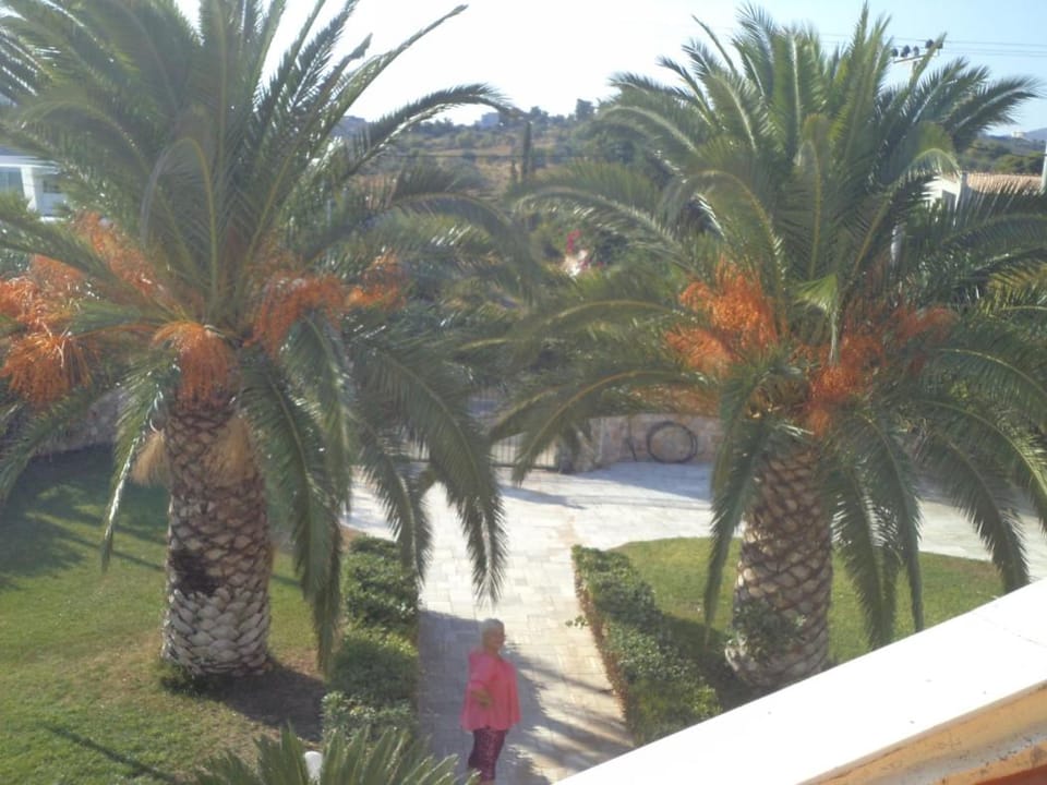 Pool villa near to airport/free car available House in Decentralized Administration of Attica