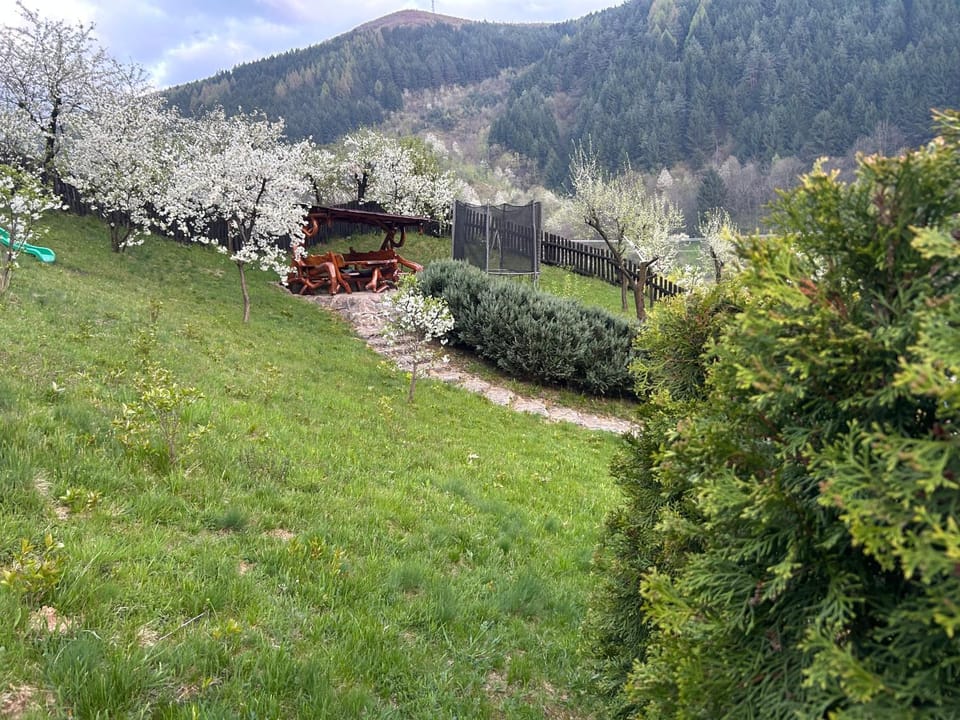 Pensiunea Hanzu Darius Farm Stay in Romania