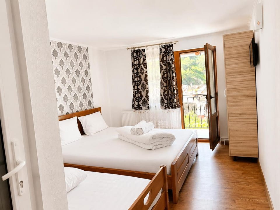 Pensiunea Hanzu Darius Farm Stay in Romania
